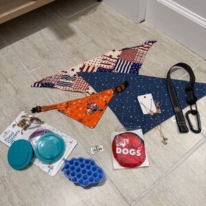 Large lot of 10 dog accessories pet bandanas Disney Dogs frisbee brush collar